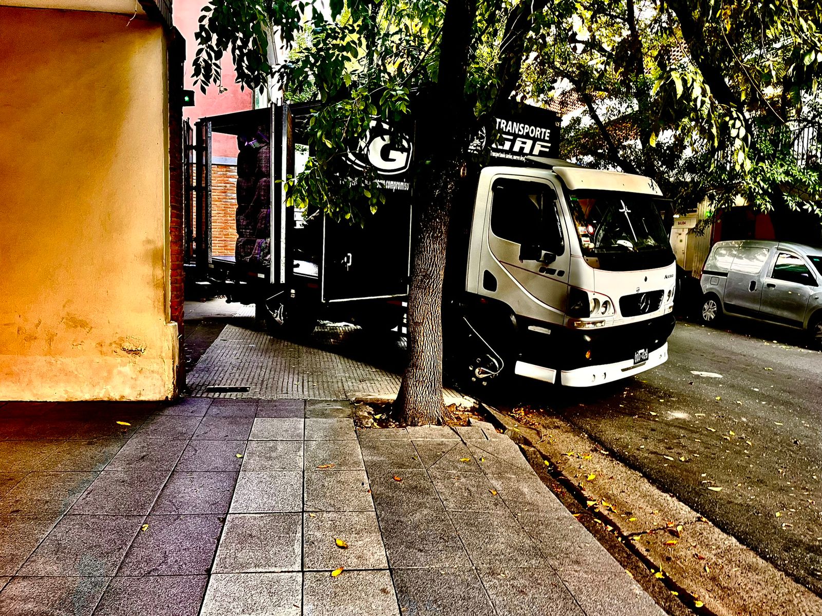 Servicio de mudanza profesional con operarios moviendo muebles con cuidado